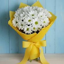 Букет цветов из:  Хризантемы в Вершину Тёи
