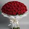 Букет 101 Красная роза Блэк Мэджик в Вершину Тёи