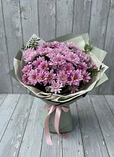 Букет цветов из:  Хризантемы в Вершину Тёи