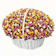 Премиум букет из: Розы в Вершину Тёи