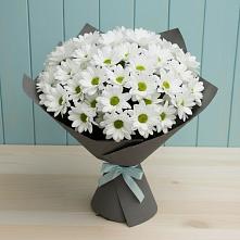 Букет цветов из:  Хризантемы в Вершину Тёи