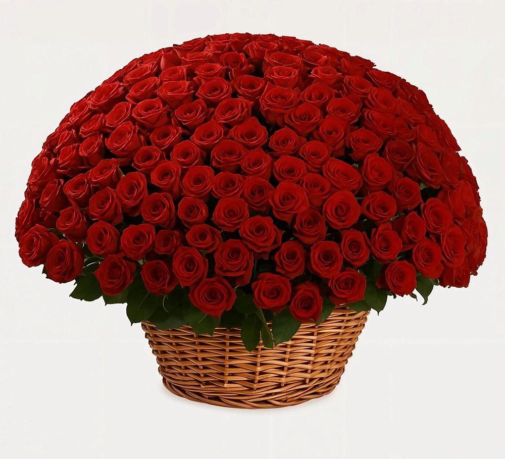 Премиум букет из: Розы в Вершину Тёи