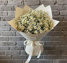 Букет цветов из:  Ромашки в Вершину Тёи
