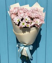 Букет цветов из:  Хризантемы в Вершину Тёи