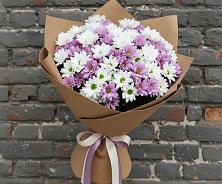 Букет цветов из:  Хризантемы в Вершину Тёи