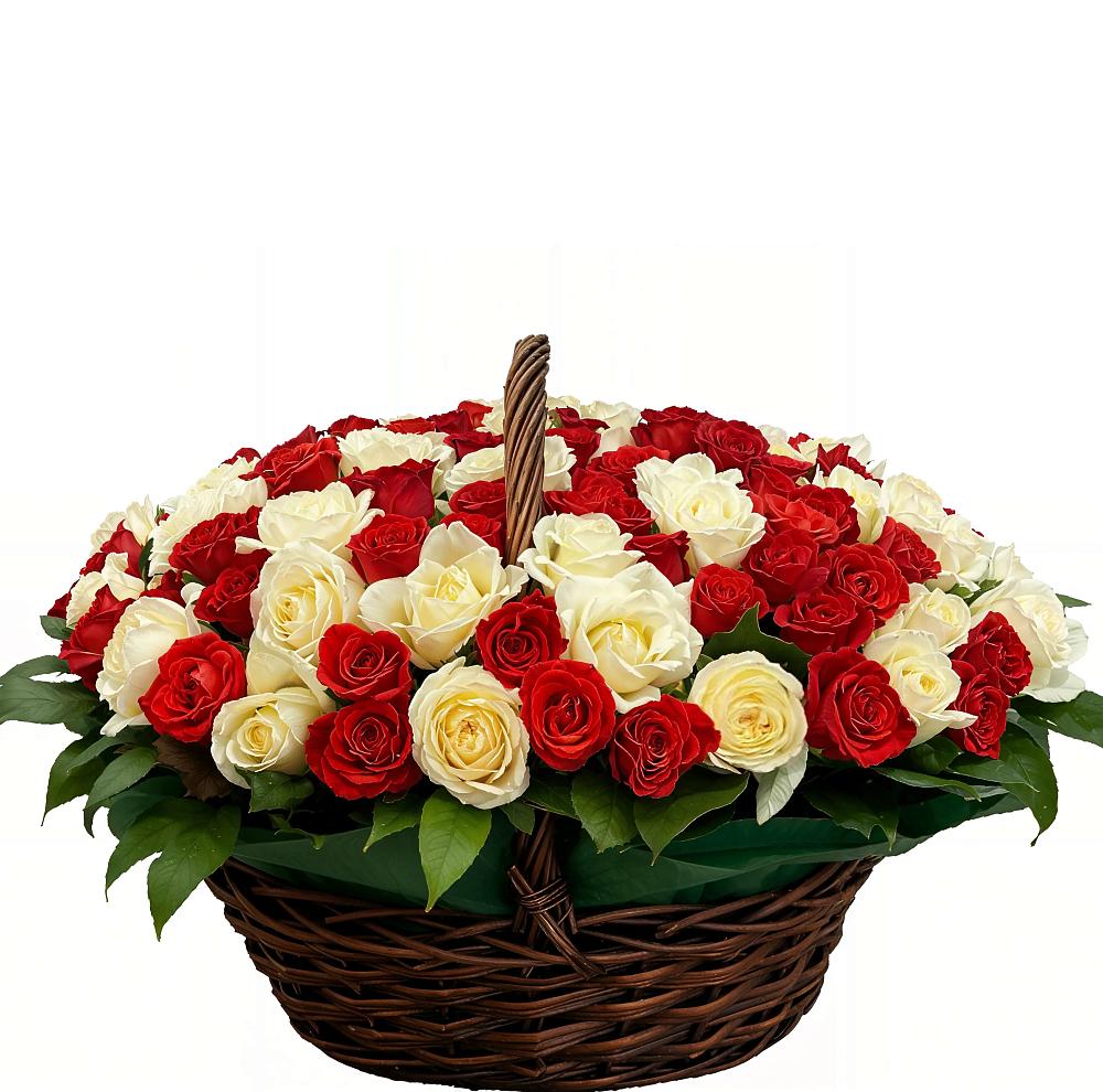 Премиум букет из: Розы в Вершину Тёи