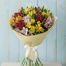 Букет цветов из:  Альстромерии в Вершину Тёи