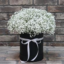 Цветочная композиция из Гипсофила в шляпной коробке в Вершину Тёи