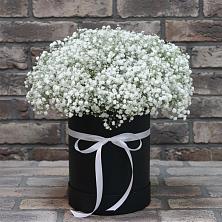 Цветочная композиция из Гипсофила в шляпной коробке в Вершину Тёи