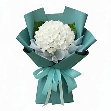 Букет цветов из:  Гортензия в Вершину Тёи